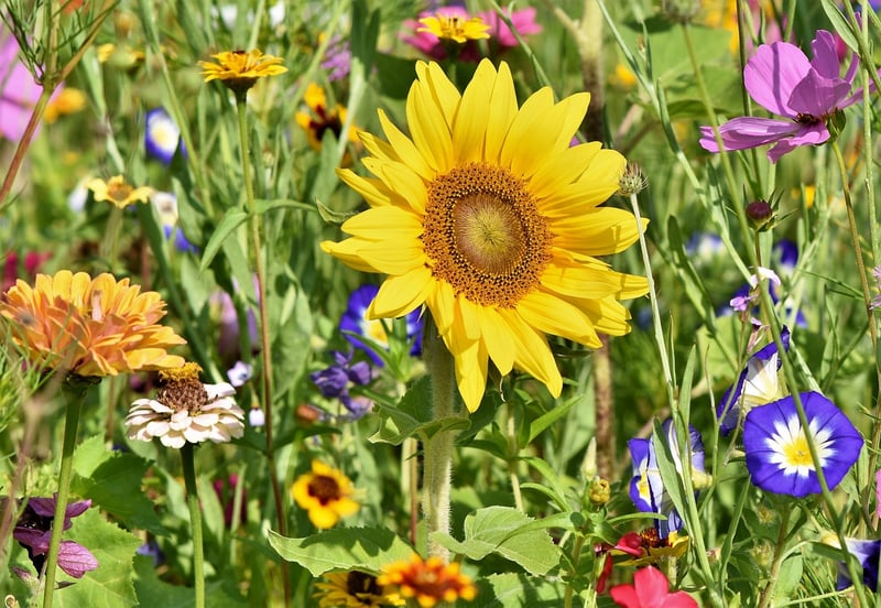 Recycled Garden Decor
