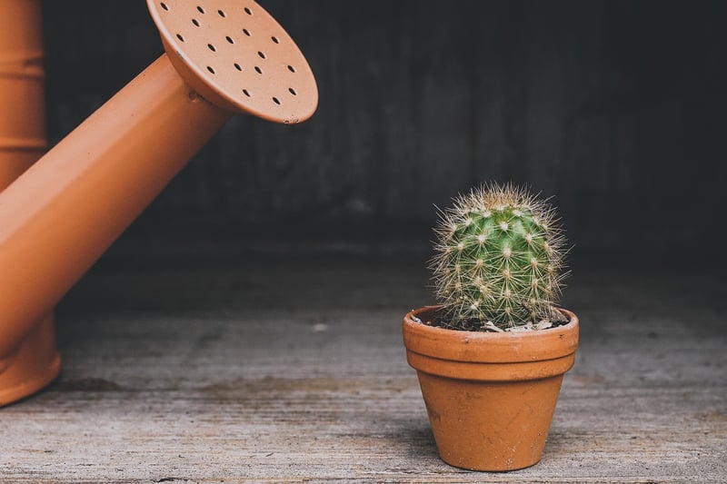 Eco-Friendly Home Goods
